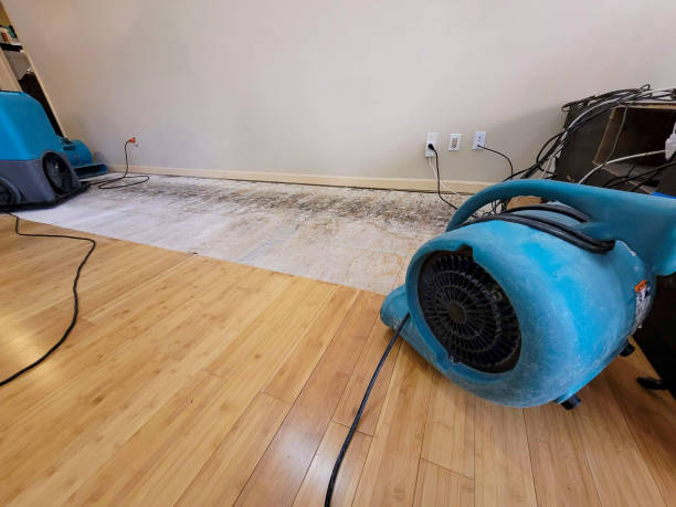 Professional Flood Damage Cleanup technician working in Fairview, NJ